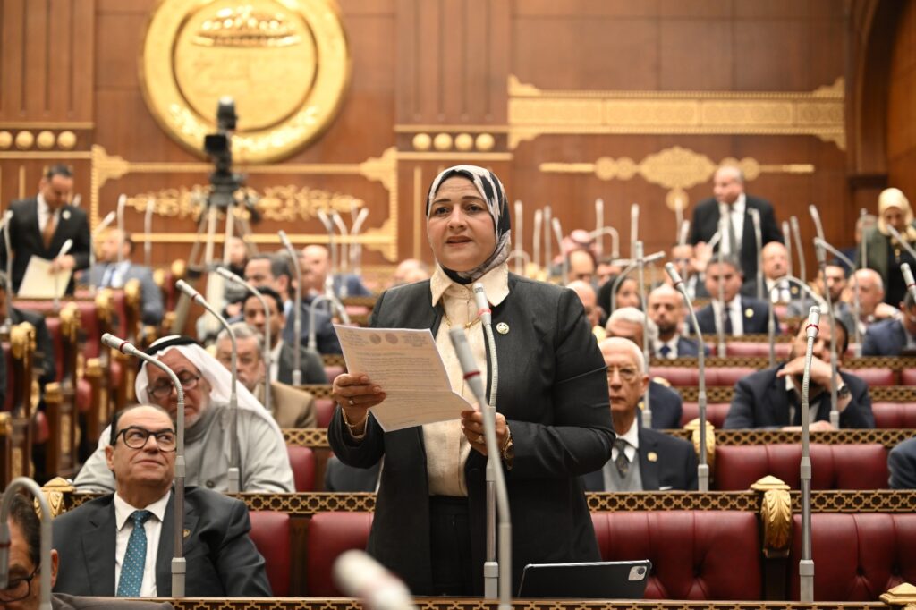 النائبة مروة قنصوه