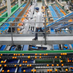 6 معلومات عن المرحلة الثانية من مبادرة تمويل القطاعات الصناعية ذات الأولوية