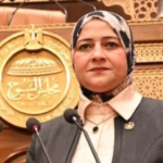 النائبة مروة قنصوه تقترح إنشاء منصة رقمية موحدة للسجل الطبي الإلكتروني للمواطن