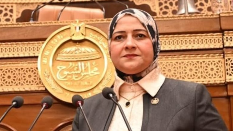 النائبة مروة قنصوه تقترح إنشاء منصة رقمية موحدة للسجل الطبي الإلكتروني للمواطن