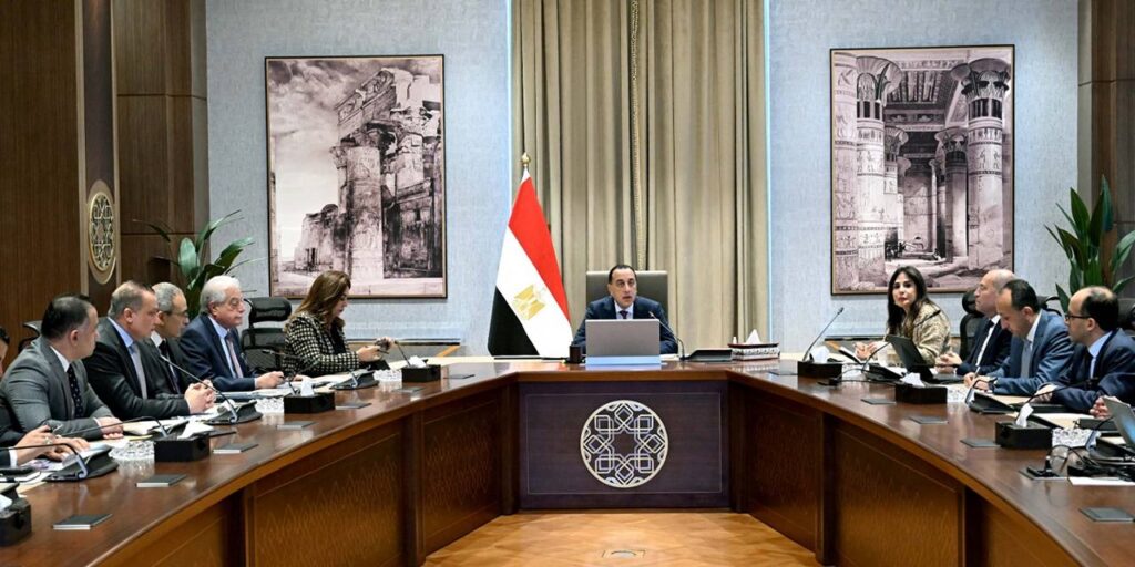 6 شركات تتقدم بطلبات لإدارة وتشغيل حدائق تلال الفسطاط