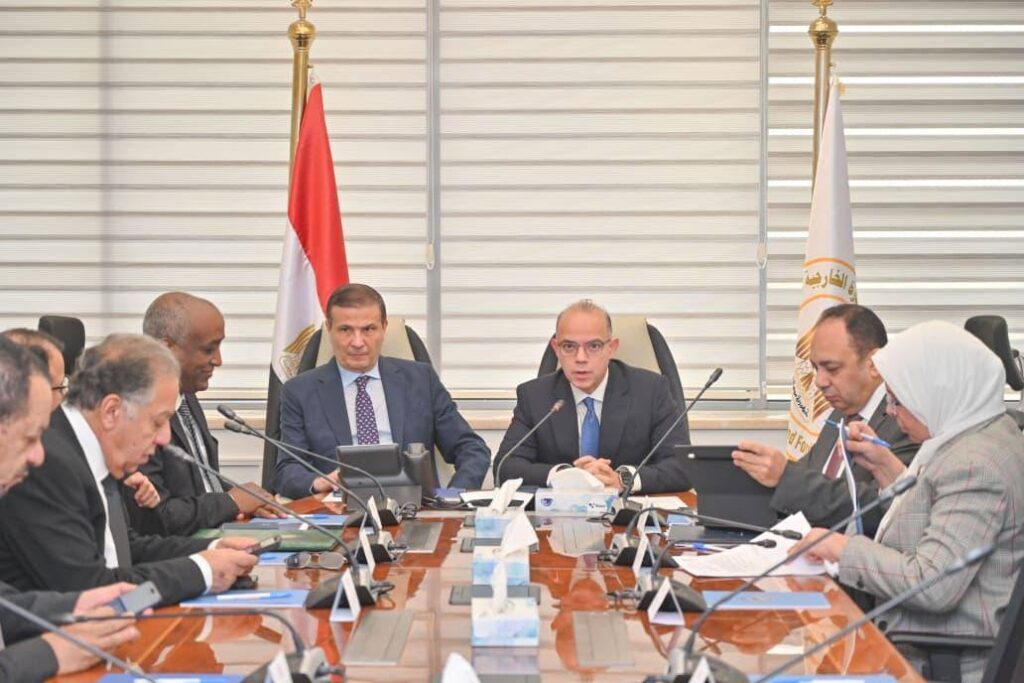 الحكومة تدرس إنشاء كيان استثماري متخصص لدعم ومساندة الاستثمارات المصرية بأفريقيا