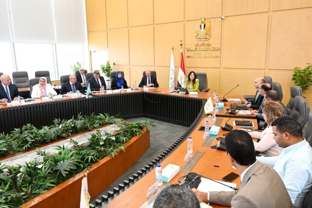 وزيرة الإسكان تتابع تنفيذ مشروعات المياه والصرف الصحي بقرى حياة كريمة